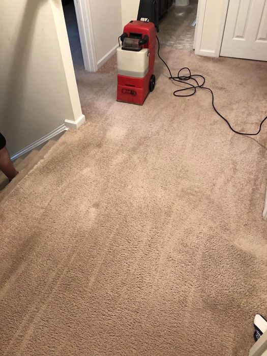 A reviewer's carpet, now spotless and clean
