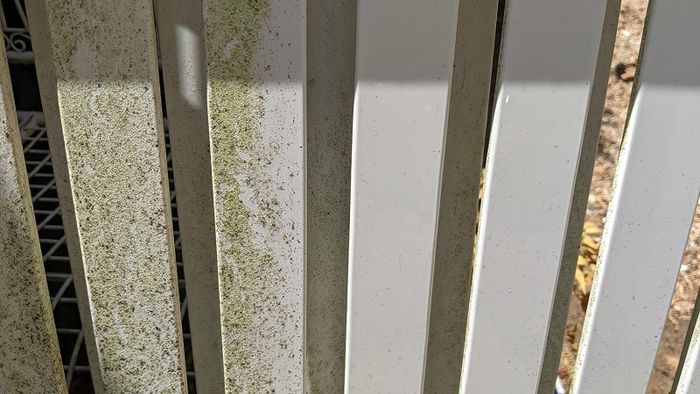 A fence in the review shows half covered in green, with the other side spotless.