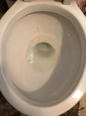The toilet bowl after the stains are gone, looking fresh and new.