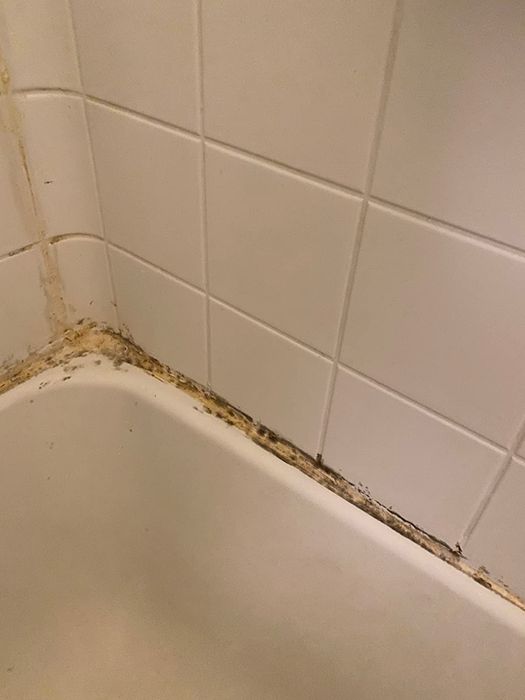 A corner of the reviewer's bathtub showing black mildew buildup.