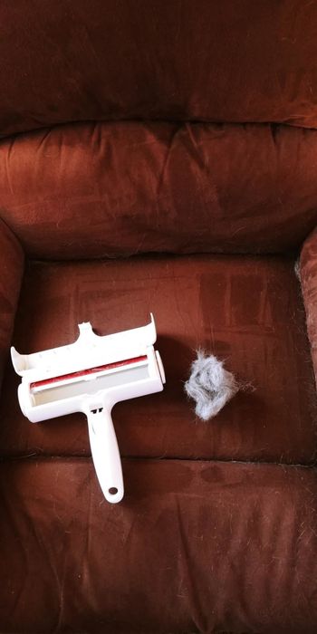 The clean couch alongside the ChomChom roller