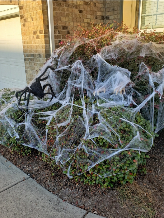 Spider webbing draped across bushes, accompanied by a large, fake spider