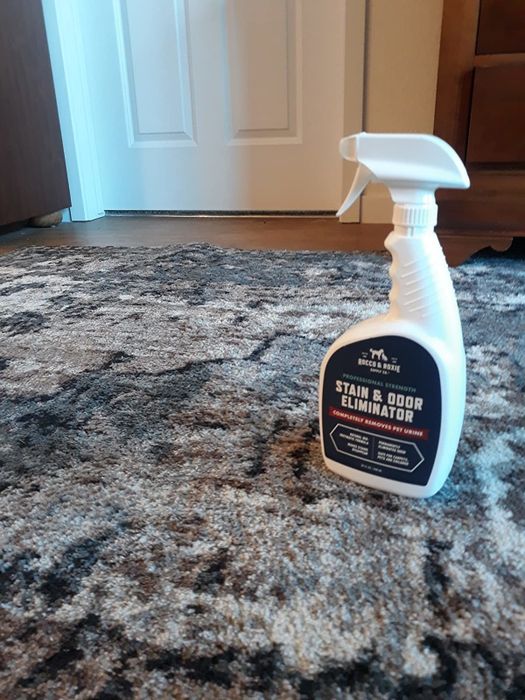 The same rug now completely stain-free
