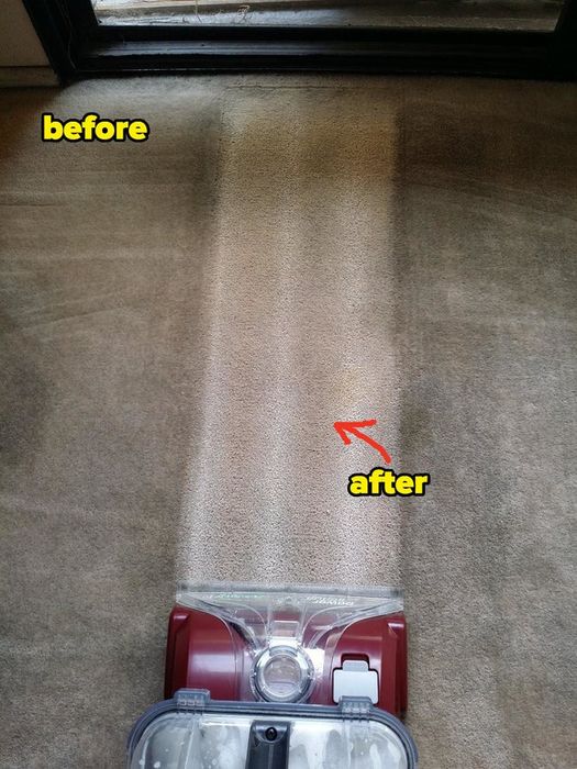 A dirty carpet with one clean strip where the vacuum has passed over it
