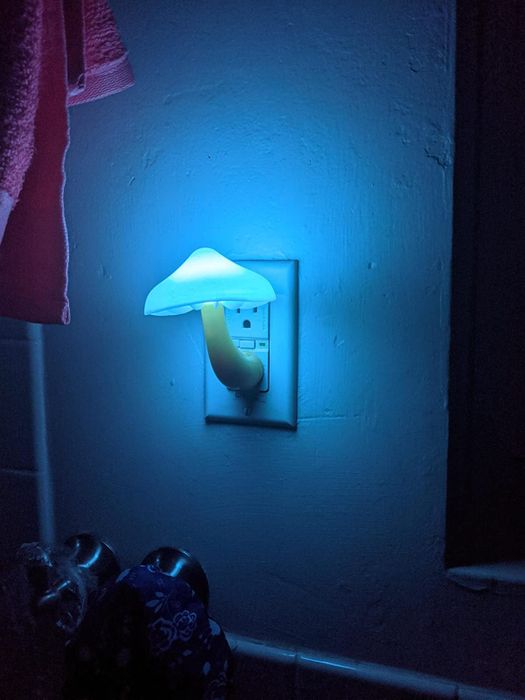 The blue mushroom nightlight plugged into a wall socket