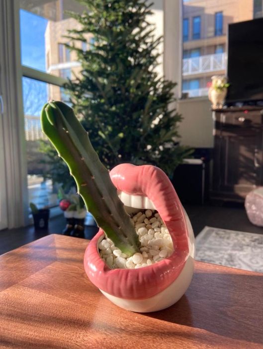 A pink lips planter with a cactus sprouting from it