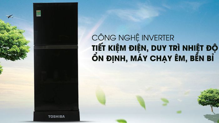 tu-lanh-180-lit-10