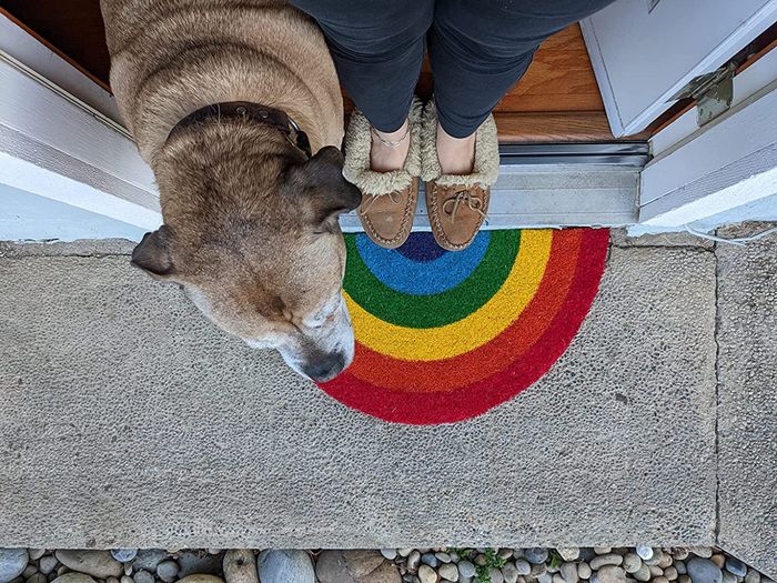 A rainbow door mat with a reviewer standing on it alongside their dog.