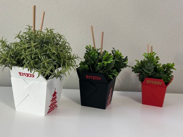 Three takeout-inspired containers in white, black, and red, repurposed as plant pots with lush green plants inside, each one showcasing its own unique style