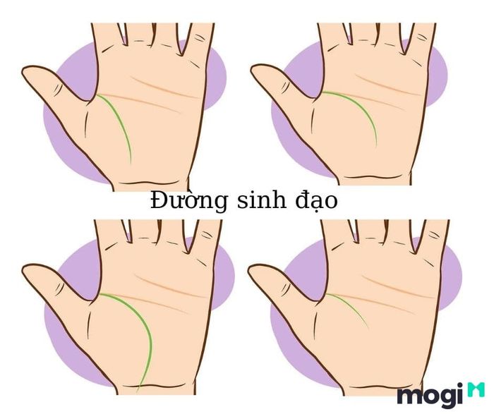 Hướng dẫn cách xem chỉ tay để nhận biết đường sinh đạo ở nam giới