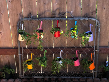 10 mini potted plants hanging from an old metal gate door.