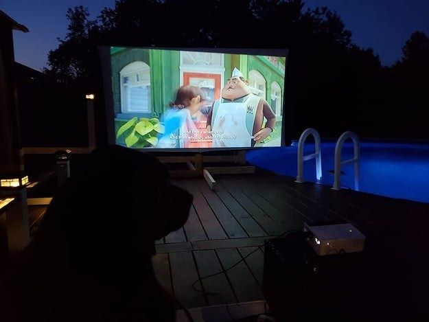 A setup in the reviewer's backyard featuring a projector screen, creating the perfect outdoor movie experience.