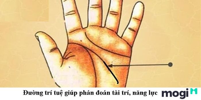 Hướng dẫn cách xem đường trí đạo, còn gọi là đường học vấn trong thuật xem chỉ tay