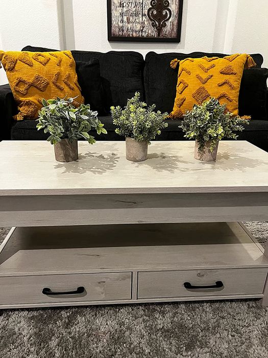 The plants placed on a table in a living room