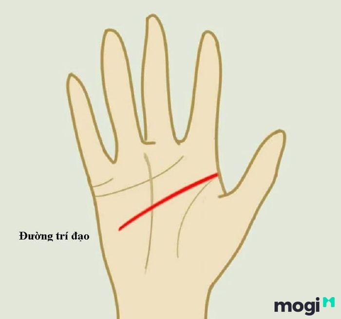 Vị trí của đường trí đạo trên bàn tay nữ giới
