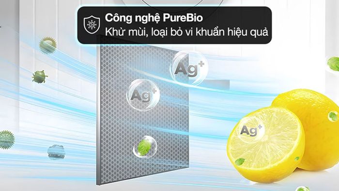 Tủ lạnh 180 lít kiểu dáng 2, model 2