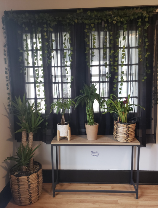 An indoor window adorned with plants on a table, and vines draping along the wall.