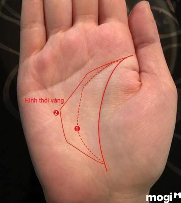 Đường chỉ tay hình thỏi vàng