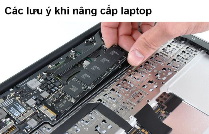 Cách nâng cấp laptop để phục vụ thiết kế đồ họa