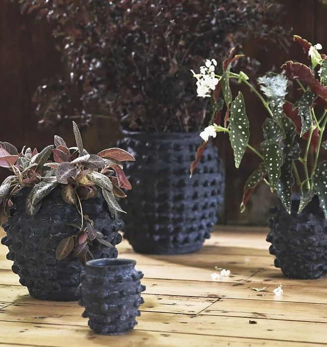The various sizes of pots filled with plants