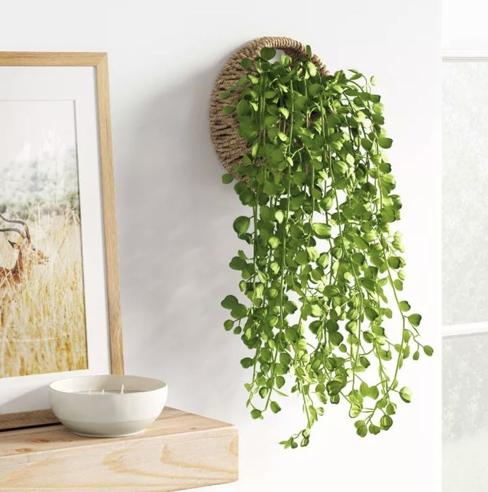 A hanging planter