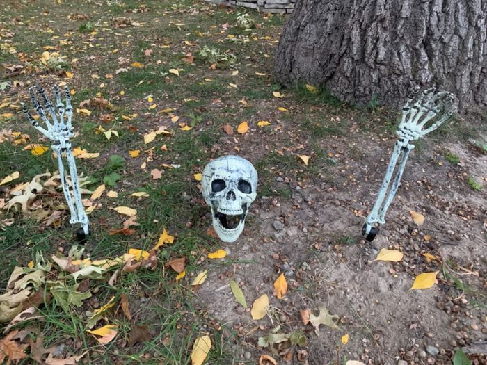 A Halloween display with a skull and skeletal hands, surrounded by space for additional spooky decor