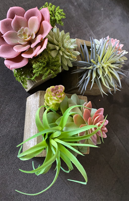 A reviewer's set of three faux succulents in the Symphony style, bringing a touch of nature to their space with ease.