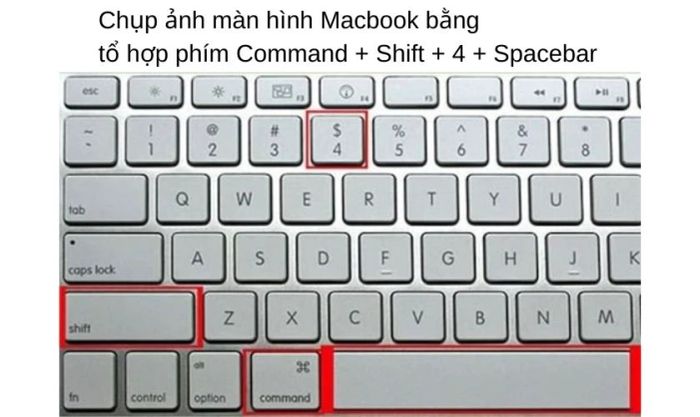 Phím tắt chụp màn hình: Command + Shift + 4 + Spacebar