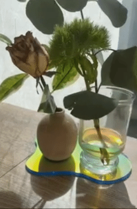 An iridescent, blob-shaped coaster catching the light