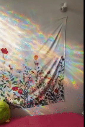 A reviewer demonstrating the vibrant rainbows cast on their wall by the film