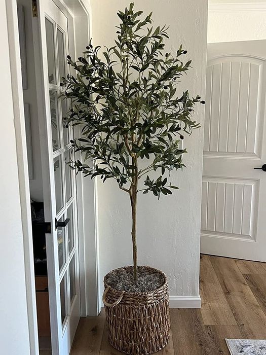 A reviewer’s artificial olive tree is displayed