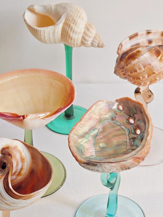 A close-up showing the interior of the seashells.