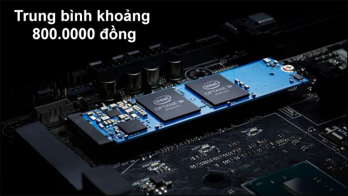 Giá trung bình dao động từ 600.000 đồng