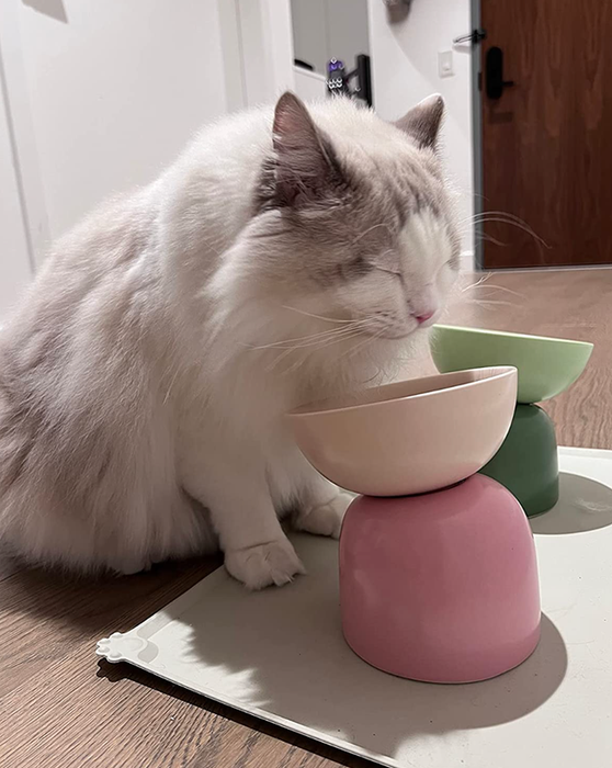 A cat eating from a two-tiered, pastel pink raised bowl, paired with a matching green one in the same design