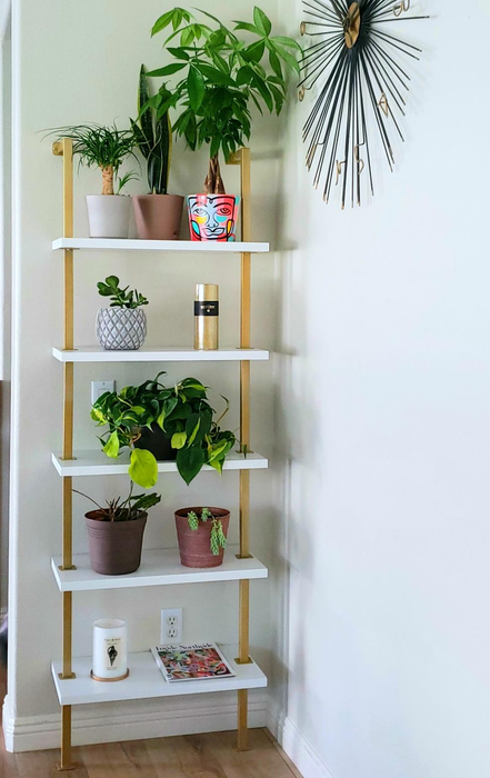 Reviewer photo showcasing white and gold shelves adorned with plants and stylish decor pieces.