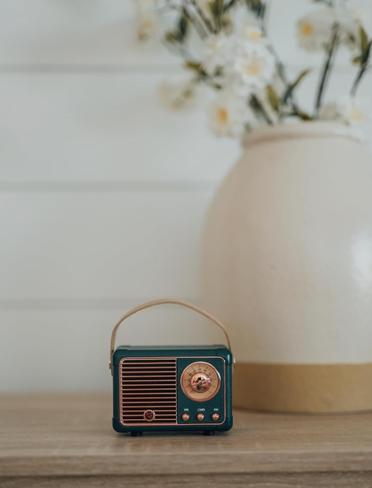 A reviewer's green Bluetooth speaker sitting next to a vase of flowers on a shelf, bringing both style and sound to the space.
