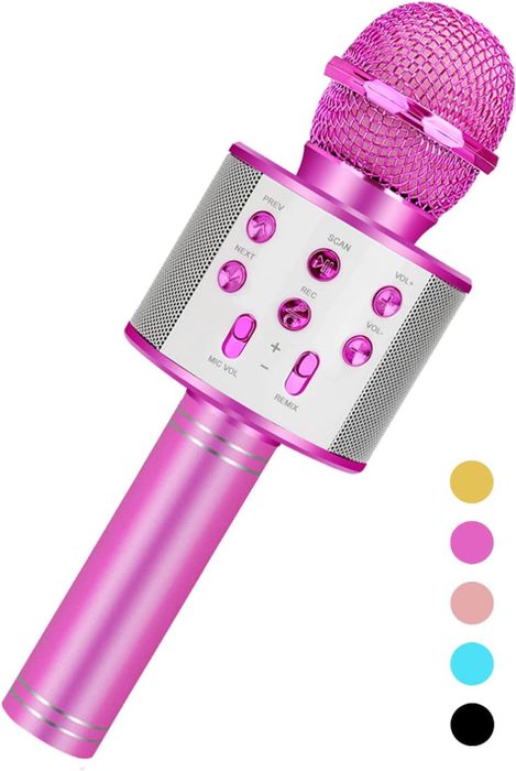 The pink karaoke microphone