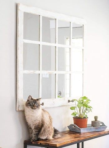 The white distressed windowpane mirror hanging on a wall, with a cat positioned in front of it.