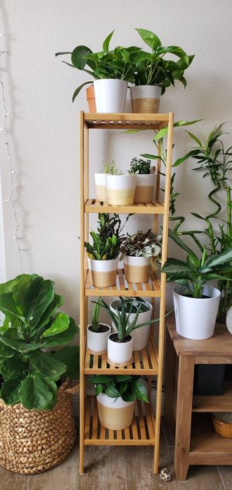 A reviewer’s five-tier bamboo shelf filled with plants