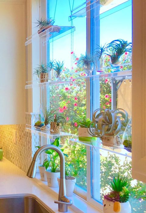 A side angle of the shelves set up in the kitchen window.