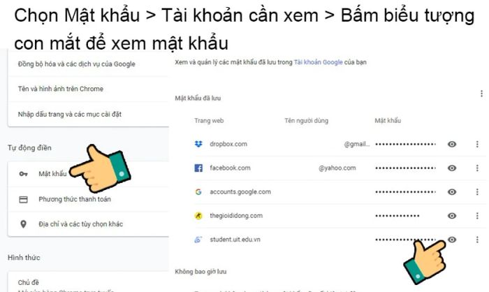 Kiểm tra mật khẩu đã lưu trên máy tính