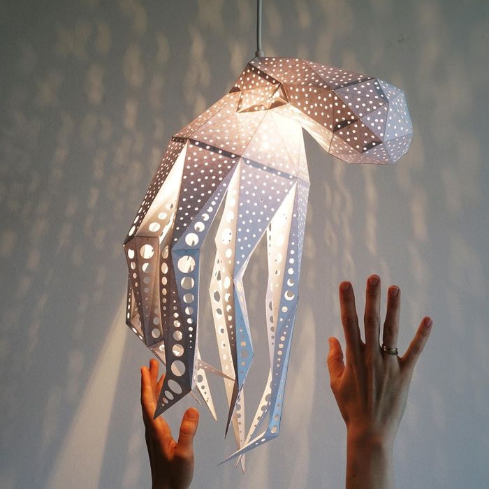 The octopus light is displayed