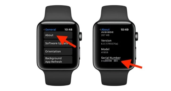 Hướng dẫn kiểm tra (check) IMEI và số serial của Apple Watch trong mục giới thiệu
