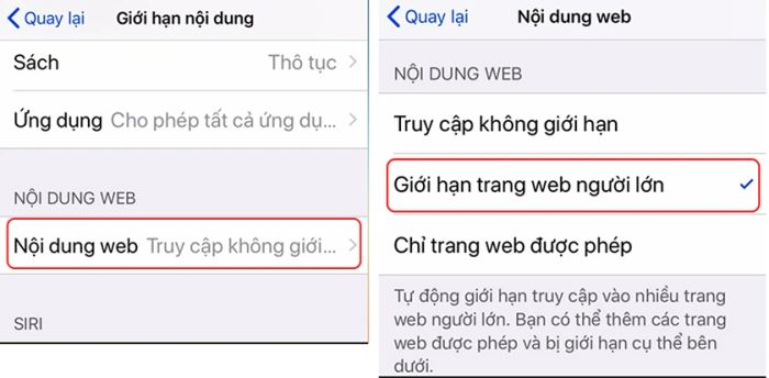 Hướng dẫn chặn web đen trên điện thoại iPhone