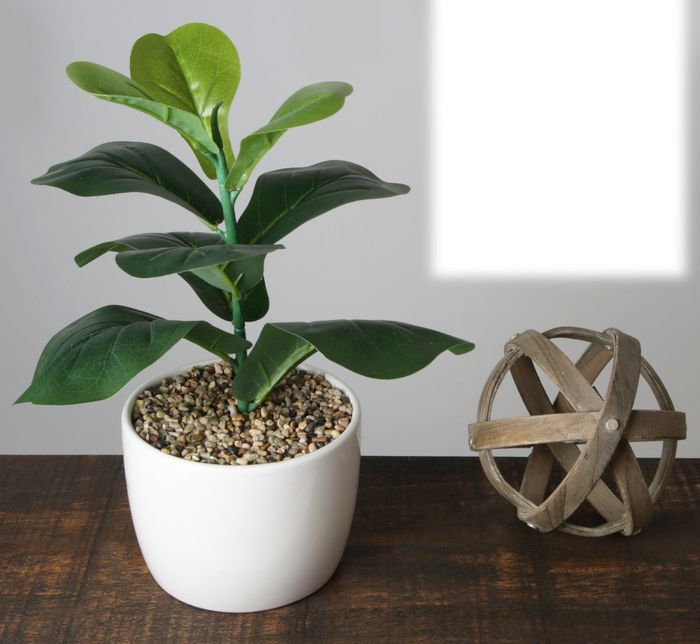 A decorative plant resting on a wooden table