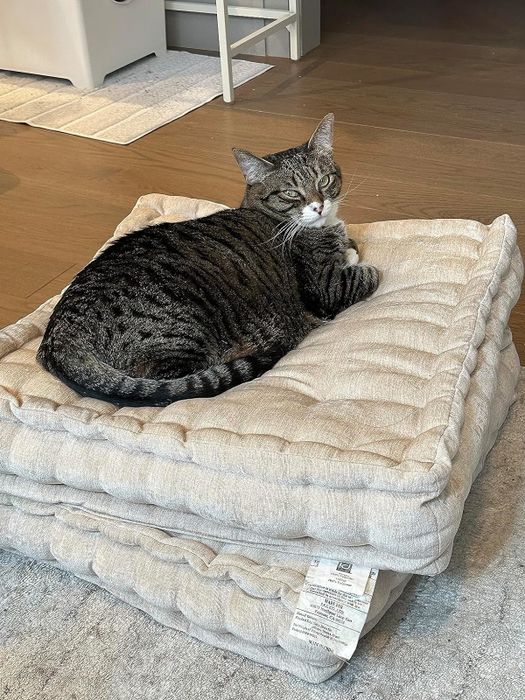 A user's cat relaxing on a pile of soft gray pillows in a cozy home environment