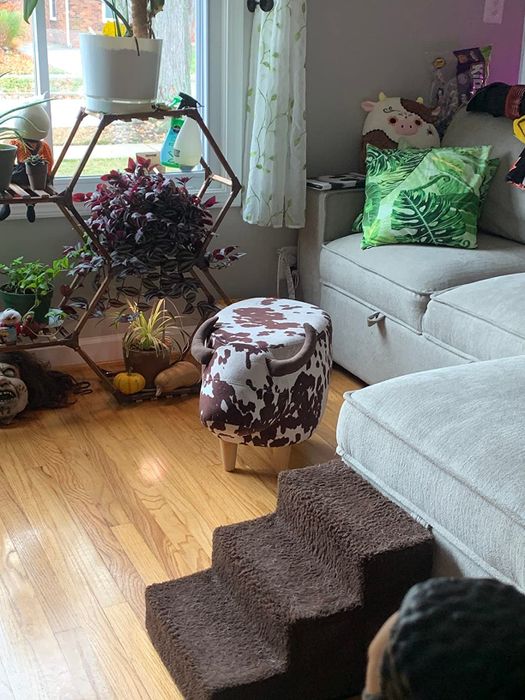 a reviewer’s living room featuring the spotted cow ottoman