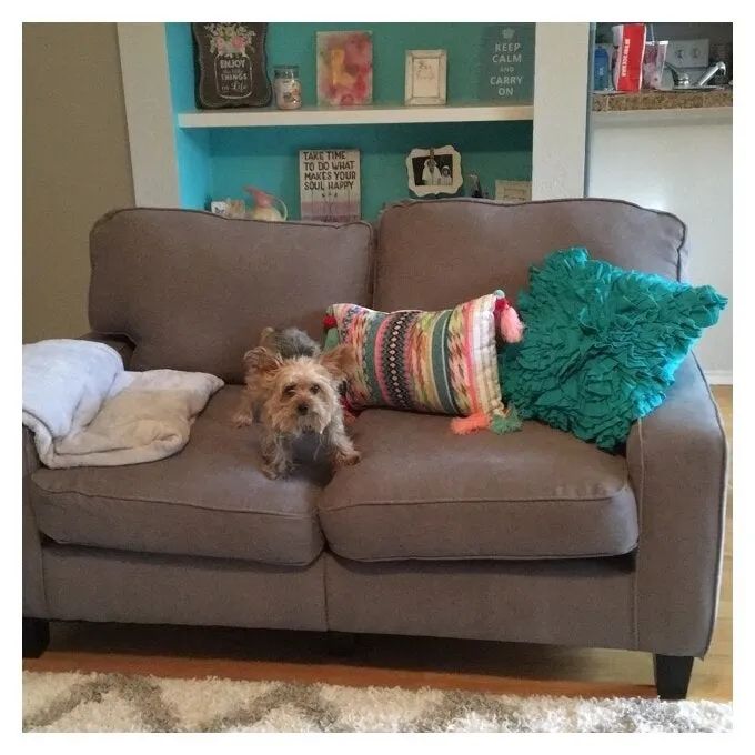 A photo from a reviewer showcasing the couch in brown