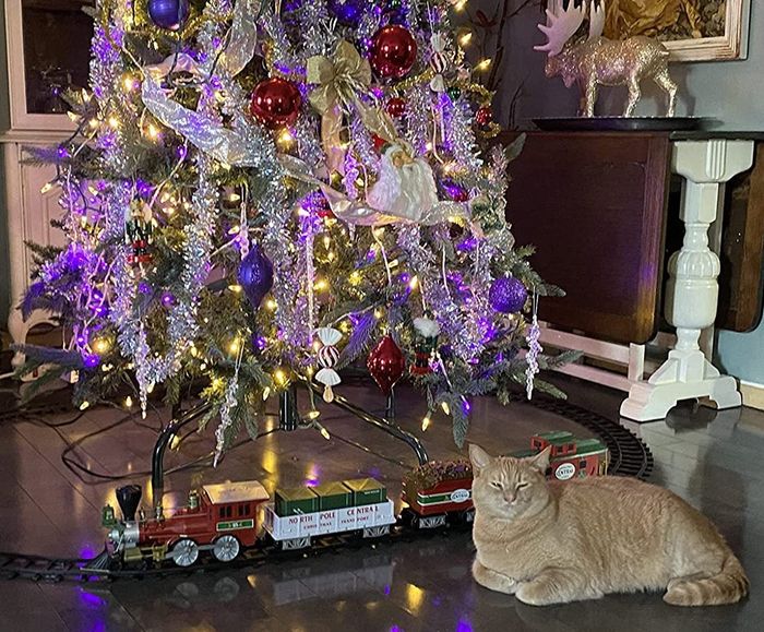 A reviewer’s cat snuggled up next to the train, which is resting under the Christmas tree