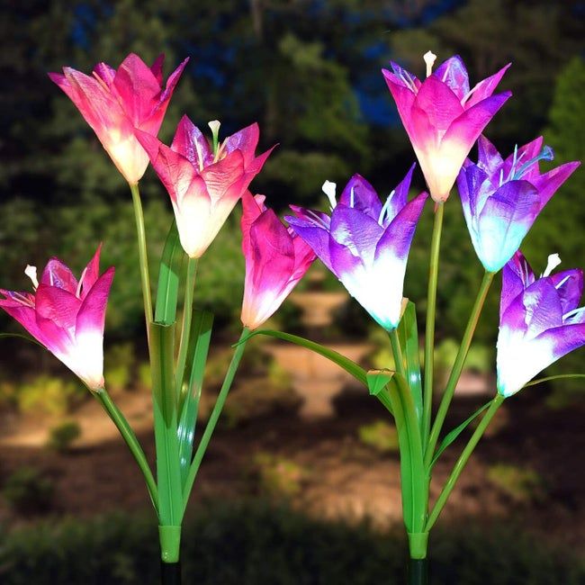 pink and purple artificial flowers that light up